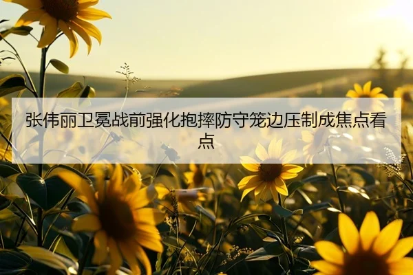 张伟丽卫冕战前强化抱摔防守笼边压制成焦点看点